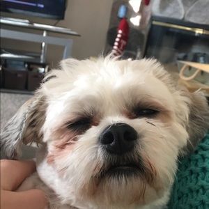 Meet your Posher, Jamie